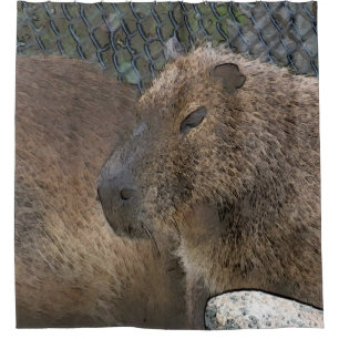 Toony Capibarah Duschvorhang