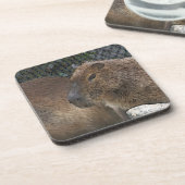Toony Capibarah Getränkeuntersetzer (Linke Seite)