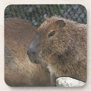 Toony Capibarah Getränkeuntersetzer