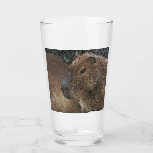 Toony Capibarah Glas (Vorderseite)