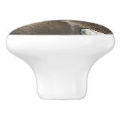 Toony Capibarah Keramikknauf (Seitenansicht)