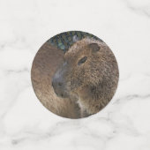 Toony Capibarah Konfetti (Klein Vorderseite)