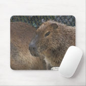 Toony Capibarah Mousepad (Mit Mouse)