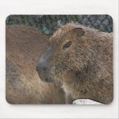 Toony Capibarah Mousepad (Vorne)