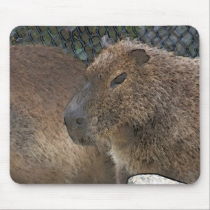 Toony Capibarah Mousepad