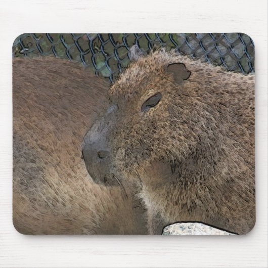 Toony Capibarah Mousepad (Vorne)