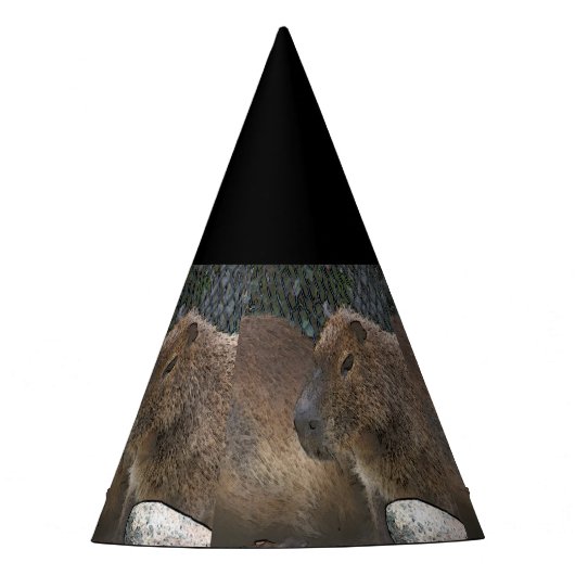 Toony Capibarah Partyhütchen (Vorderseite)