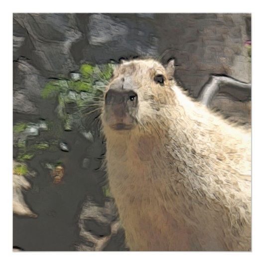 Toony Capy 3 Fotodruck (Vorne)