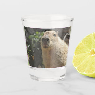 Toony Capy 3 Schnapsglas
