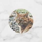 Toony Cat Konfetti (Klein Vorderseite)