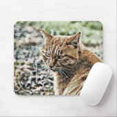 Toony Cat Mousepad (Mit Mouse)