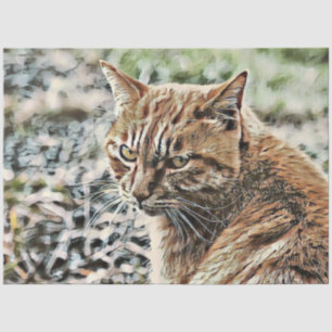 Toony Cat Seidenpapier