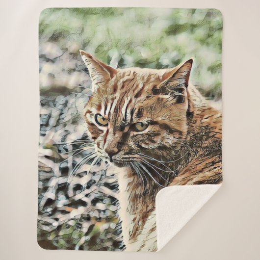 Toony Cat Sherpadecke (Vorderseite)