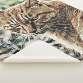 Toony Cat Sherpadecke (3/4)