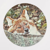 Toony Fox Etiketten (Design 1)