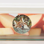 Toony Fox Etiketten (Befestigt)