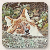 Toony Fox Getränkeuntersetzer (Vorderseite)