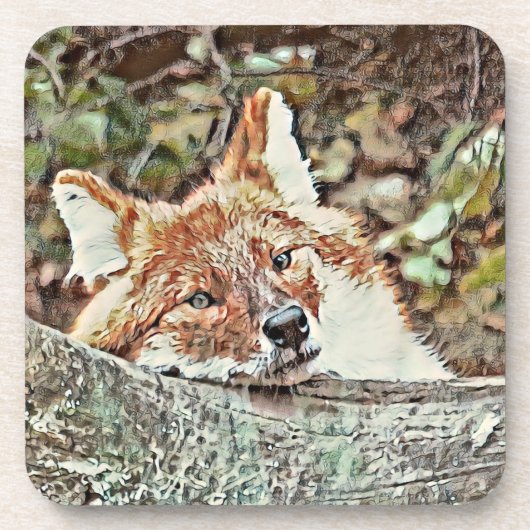 Toony Fox Getränkeuntersetzer (Vorderseite)