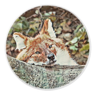 Toony Fox Keramikknauf
