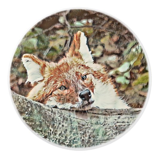Toony Fox Keramikknauf (Vorderseite)