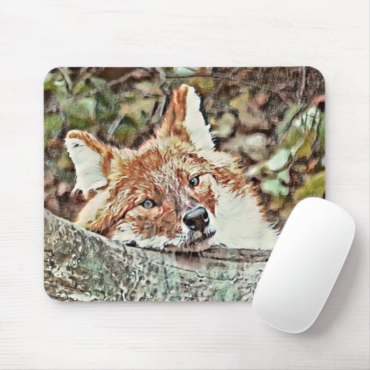 Toony Fox Mousepad (Mit Mouse)