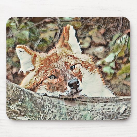 Toony Fox Mousepad (Vorne)