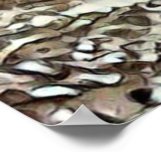 Toony Fox Poster (Ecke)