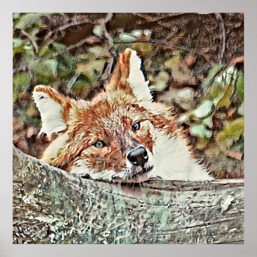 Toony Fox Poster (Vorne)