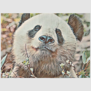 Toony Panda Seidenpapier
