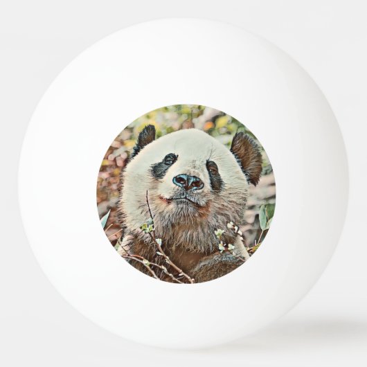 Toony Panda Tischtennisball (Vorderseite)