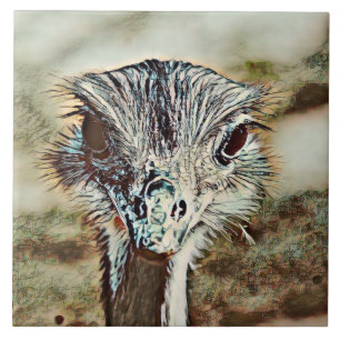 Toony Strauß Fliese