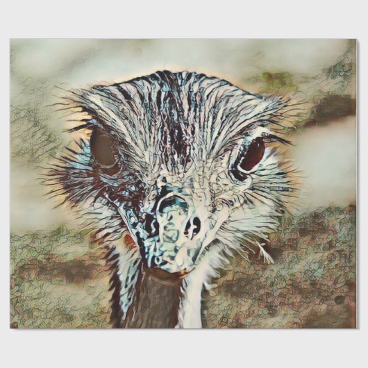 Toony Strauß Geschenkpapier (Flach)