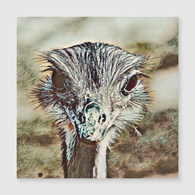 Toony Strauß Magnetkarte (Vorderseite)