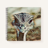 Toony Strauß Notizblock (Vorderseite)