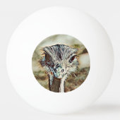 Toony Strauß Tischtennisball (Rückseite)