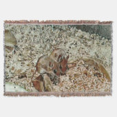 Toony Zwergmäuse Decke (Vorderseite)