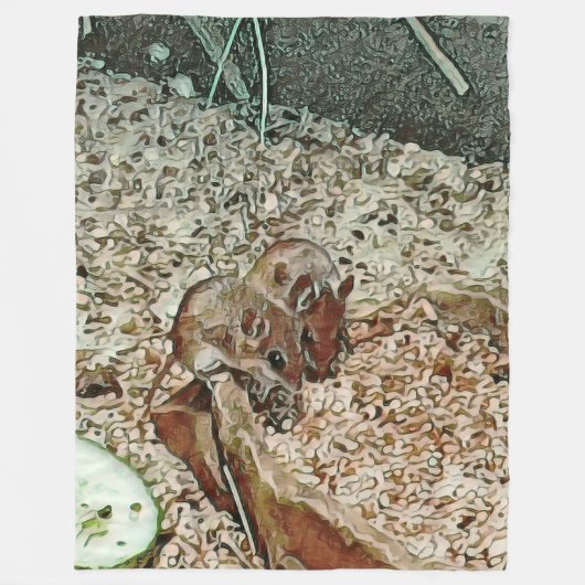 Toony Zwergmäuse Fleecedecke (Vorderseite)