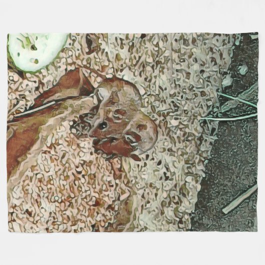 Toony Zwergmäuse Fleecedecke (Vorderseite (Horizontal))