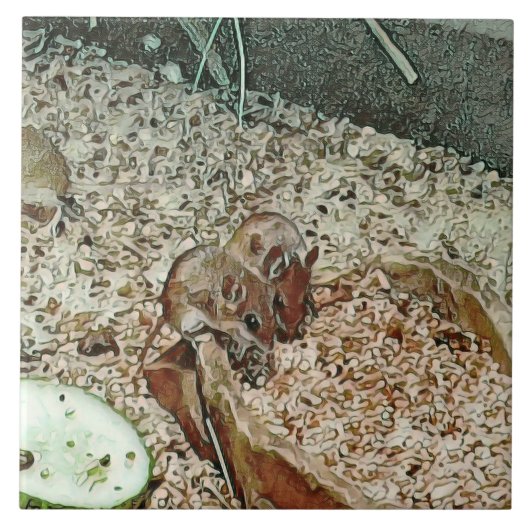 Toony Zwergmäuse Fliese (Vorderseite)