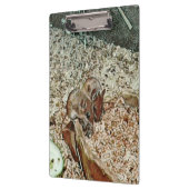 Toony Zwergmäuse Klemmbrett (Links)