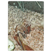 Toony Zwergmäuse Klemmbrett (Rückseite)