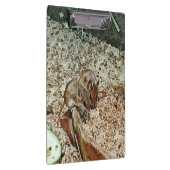 Toony Zwergmäuse Klemmbrett (Rechts)