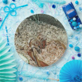 Toony Zwergmäuse Pappteller (Party)