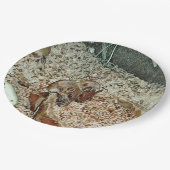 Toony Zwergmäuse Pappteller (Schrägansicht)