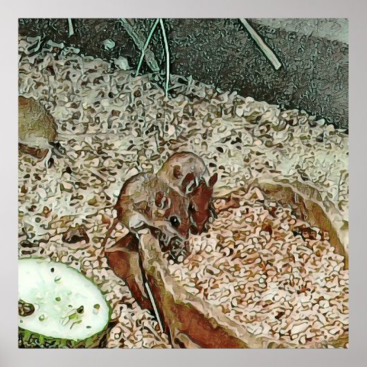 Toony Zwergmäuse Poster (Vorne)