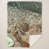 Toony Zwergmäuse Sherpadecke (Vorderseite)