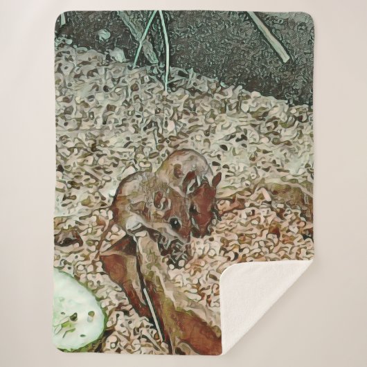 Toony Zwergmäuse Sherpadecke (Vorderseite)