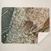 Toony Zwergmäuse Sherpadecke (Vorderseite (Horizontal))