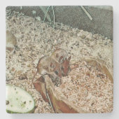 Toony Zwergmäuse Steinuntersetzer (Vorderseite)