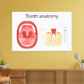 Tooth anatomy leinwanddruck (Insitu (Wohnzimmer))